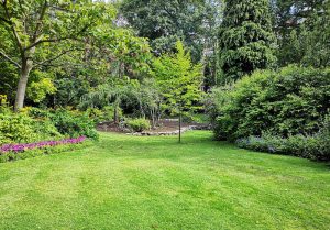 Optimiser l'expérience du jardin à Bargemon